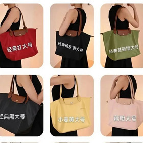 LONGCHAMP Le Pliage snap-button and zipper tote bag-5502  